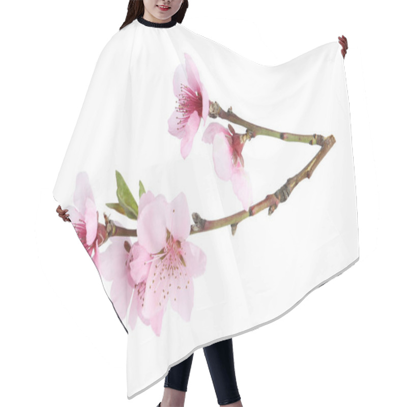 Personality  Tree Branch With Blossom Isolated On White. Spring Season Hair Cutting Cape