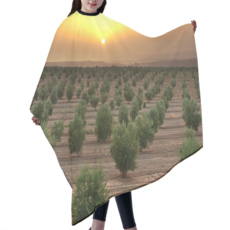 Personality  Olive Trees Hair Cutting Cape