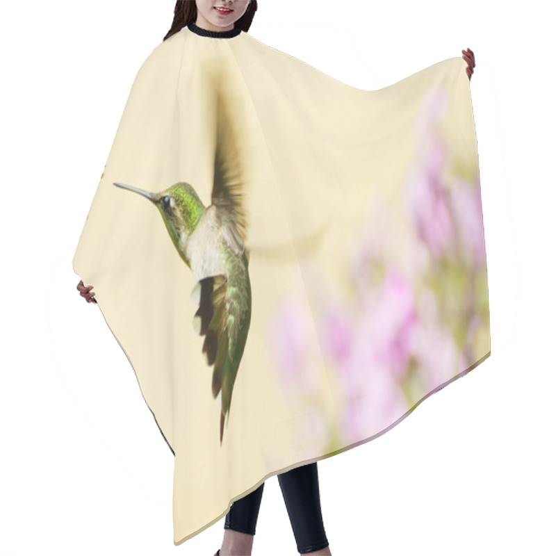 Personality  Hummingbird Fleeing Wasp. Hair Cutting Cape