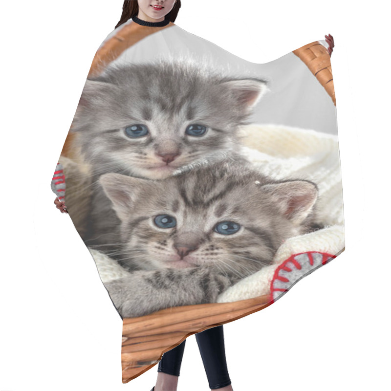 Personality  Two Little Kittens Fortnightly Age. Two Week Old Baby Cat. Funny Pets On A Cozy Wicker Basket. Cute Pet Lifestyle Picture Hair Cutting Cape