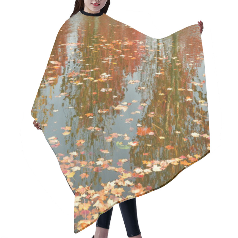 Personality  Photo Of  Water Surface Covered In Fallen Leaves In Autumn Hair Cutting Cape