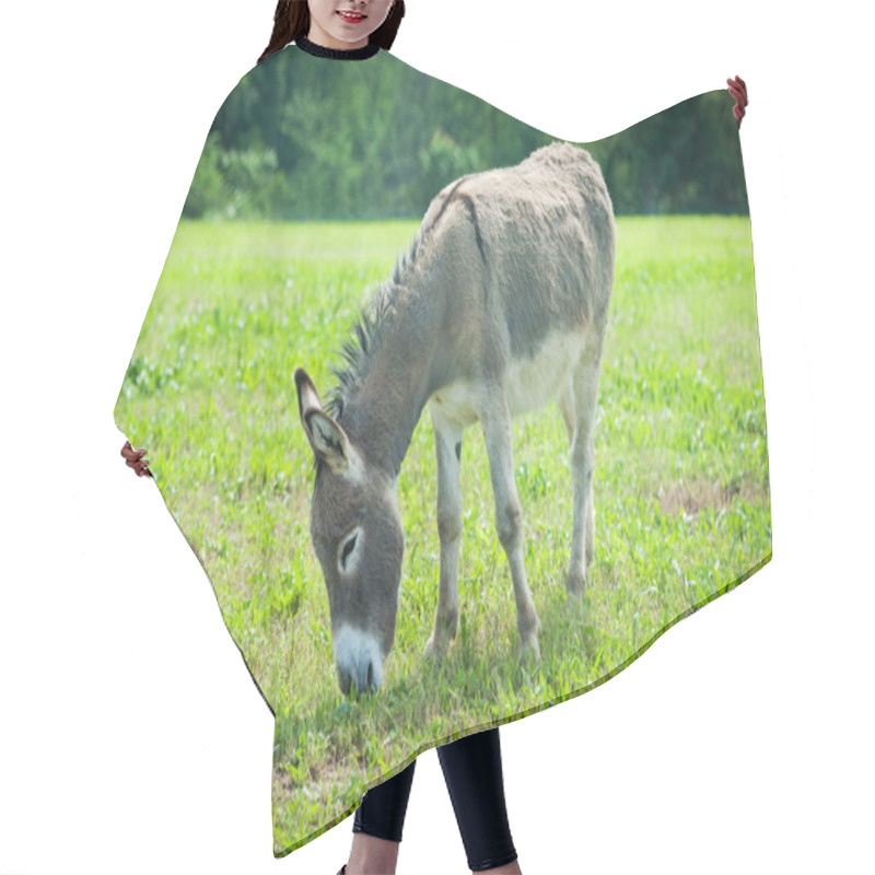 Personality  Donkey In Meadow Hair Cutting Cape