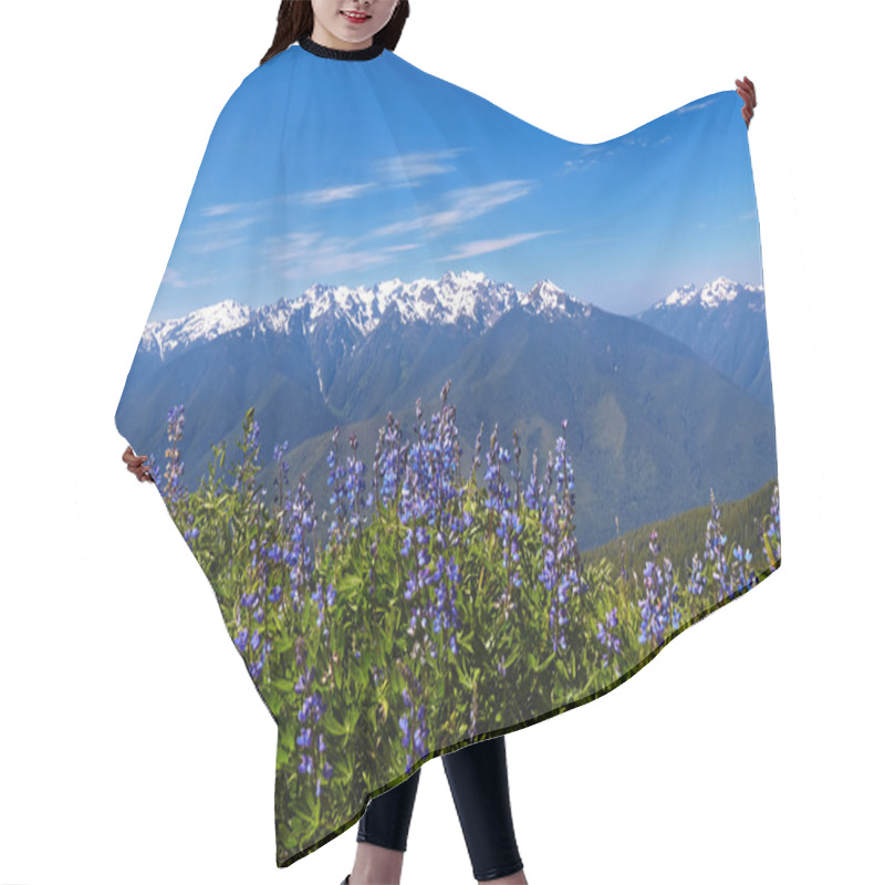 Personality  Hurricane Ridge Hair Cutting Cape