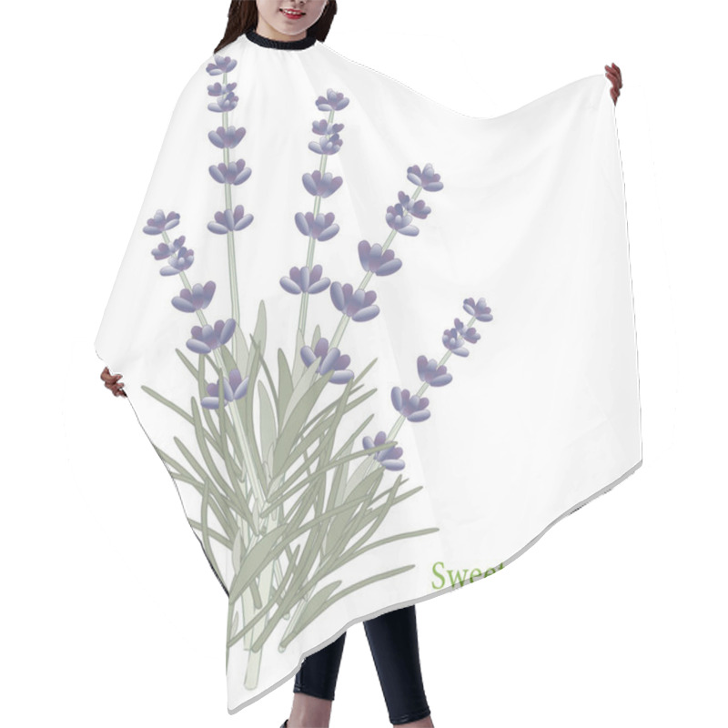 Personality  Sweet Lavender Herb  Hair Cutting Cape