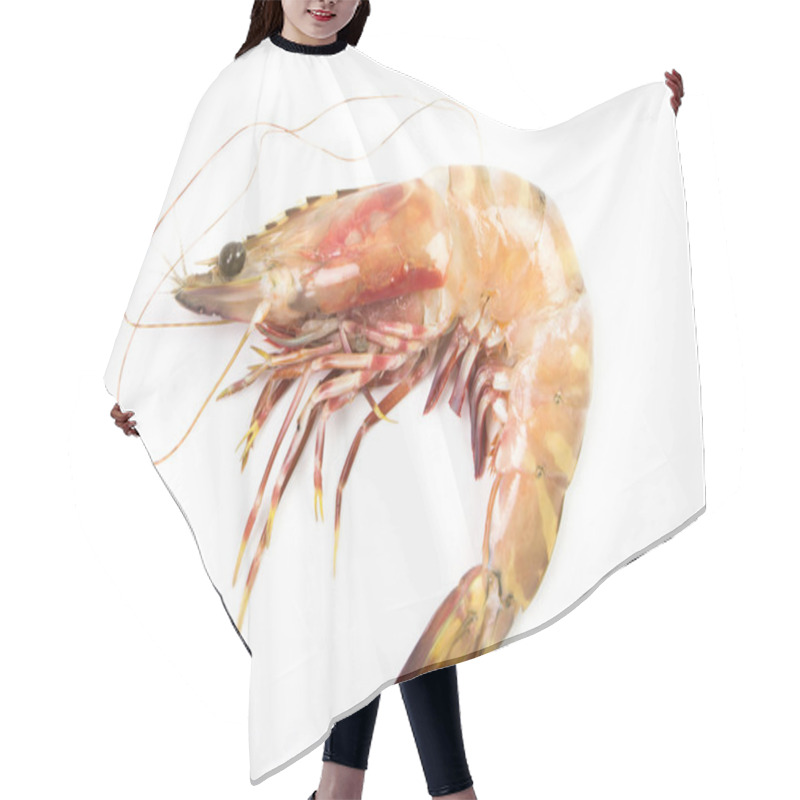 Personality  Fresh Raw Shrimps  Hair Cutting Cape