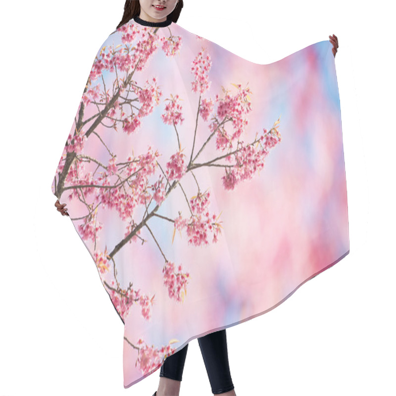 Personality  Sakura Flowers Or Cherry Blossoms Hair Cutting Cape