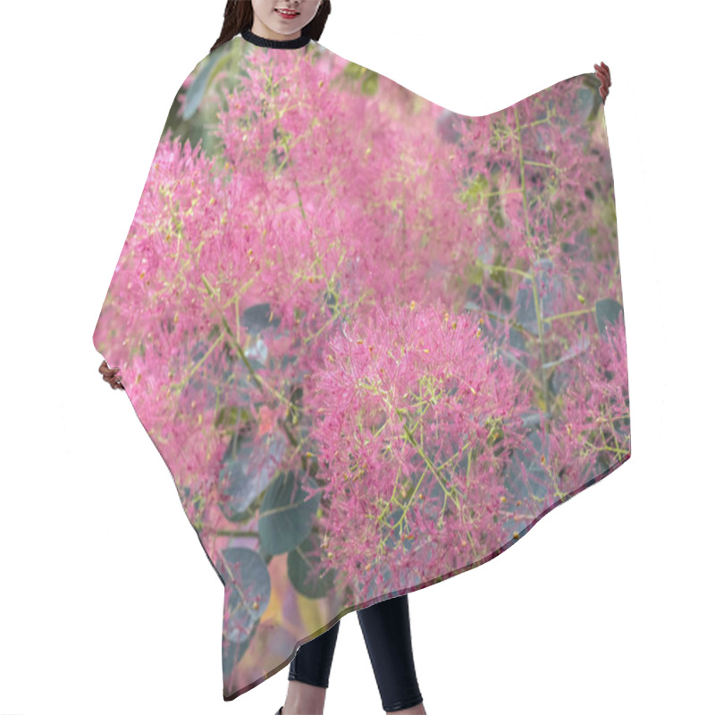 Personality  Smoke Tree In Blossom Hair Cutting Cape