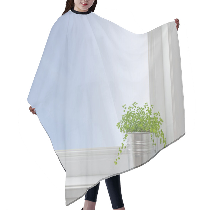 Personality  Green Plant On A Window Sill, In A Modern Home Hair Cutting Cape