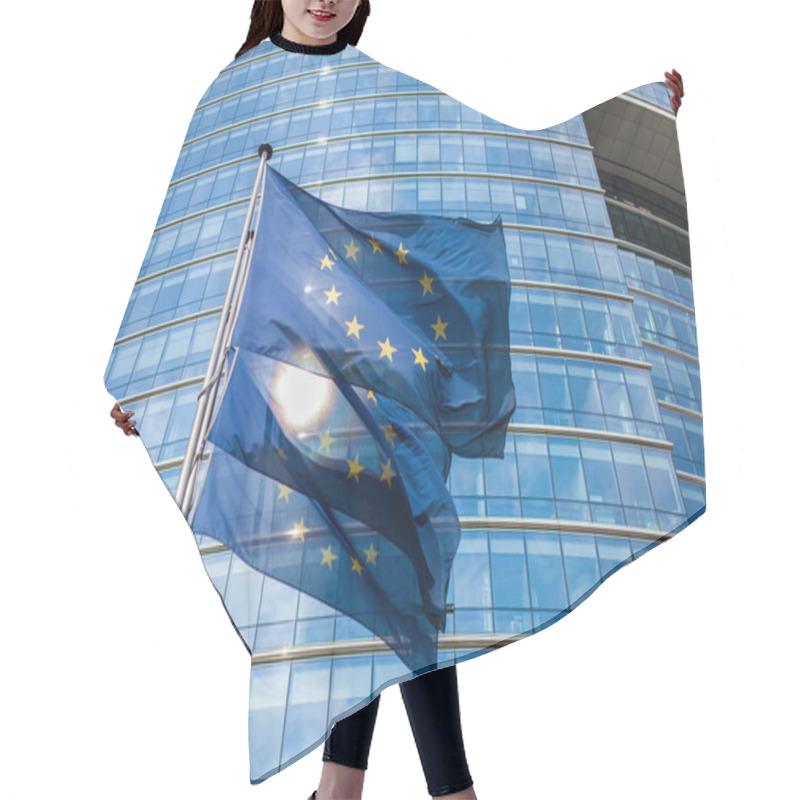 Personality  European Flags In Front Of The European Commission Hair Cutting Cape