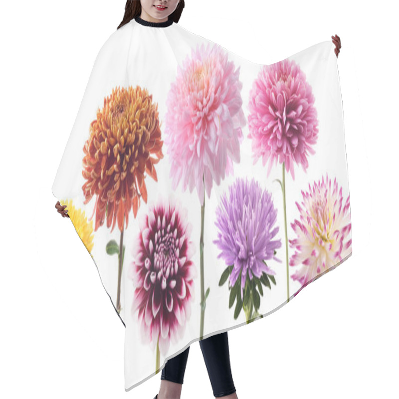 Personality  Set Of Dahlia Flowers Hair Cutting Cape