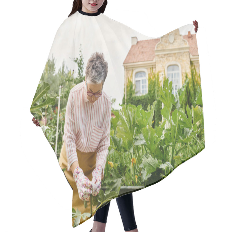 Personality  Appealing Happy Mature Woman With Glasses Working In Her Vivid Green Garden And Smiling Joyfully Hair Cutting Cape