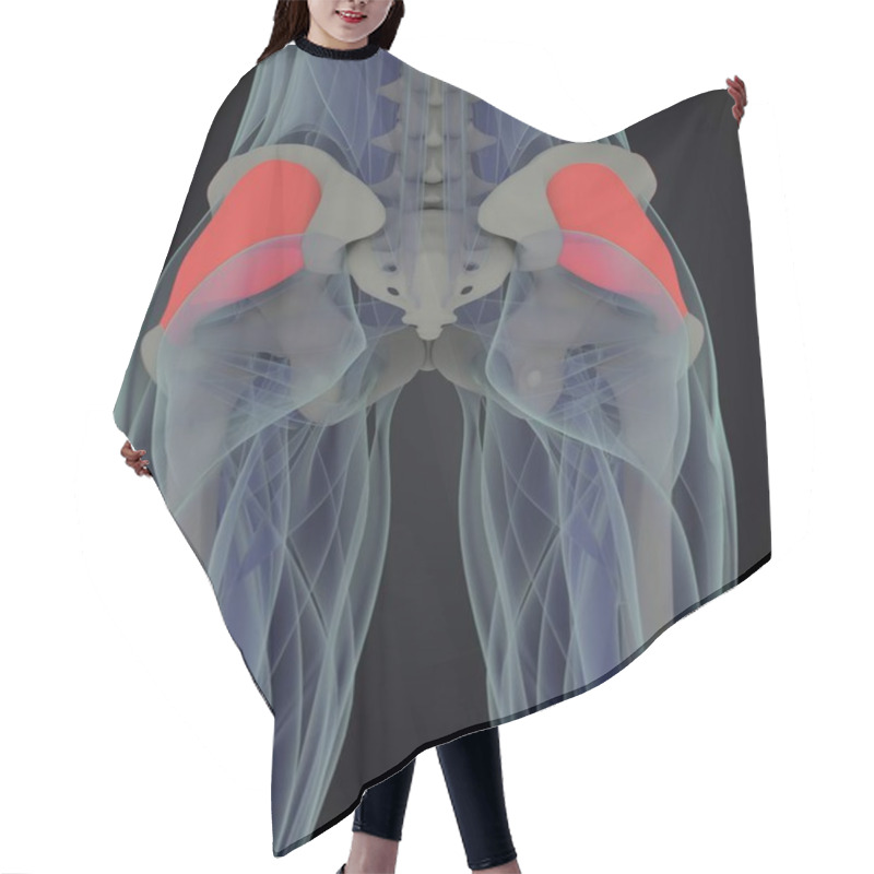 Personality  Female Fascia Lata Anatomy Model Hair Cutting Cape