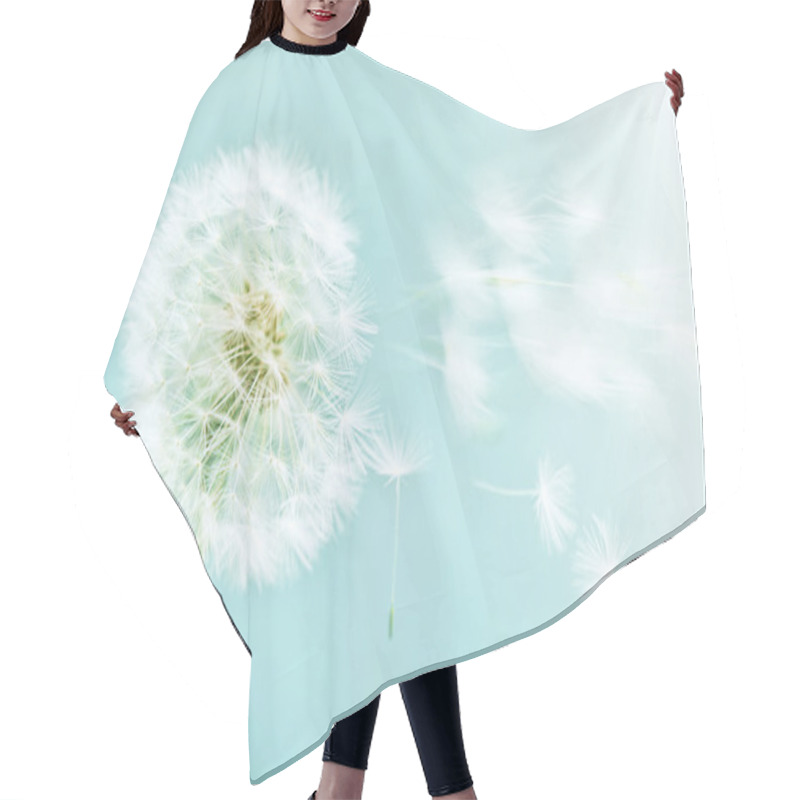 Personality  Dandelion Hair Cutting Cape