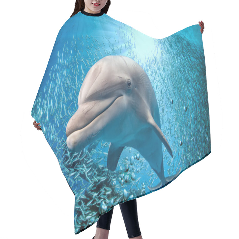 Personality  Dolphin Underwater On Blue Ocean Background Hair Cutting Cape