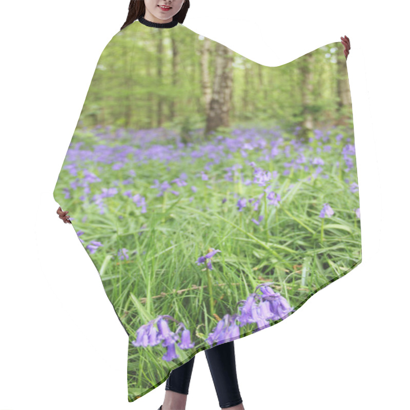 Personality  Bluebell Flowers In Spring Forest Hair Cutting Cape