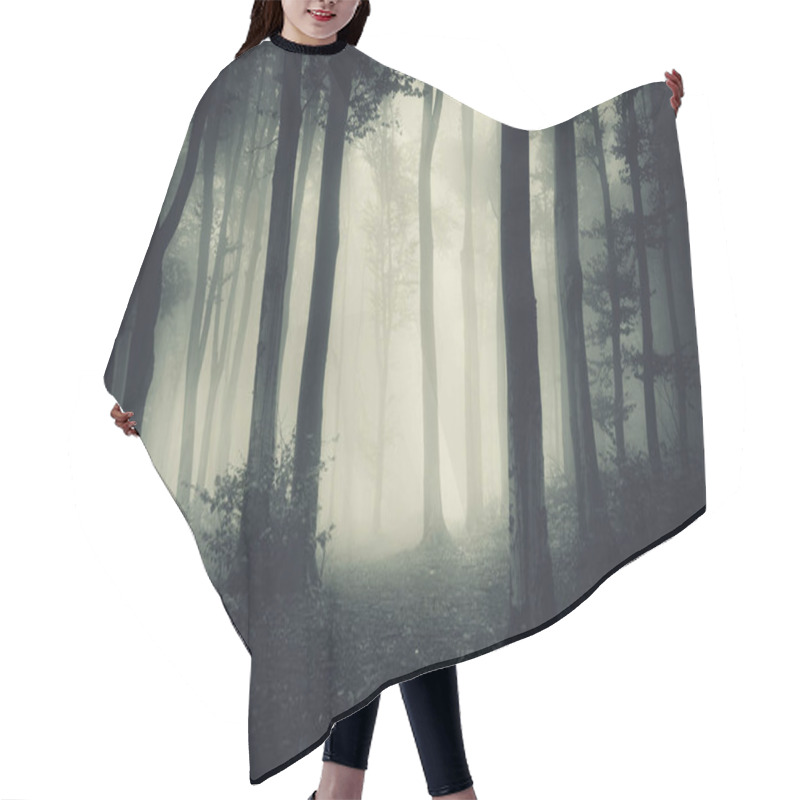 Personality  Dark Forest Landscape With Trees And Fog Hair Cutting Cape