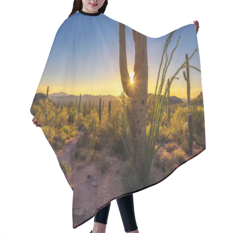 Personality  Sunset In Saguaro National Park In Arizona Hair Cutting Cape