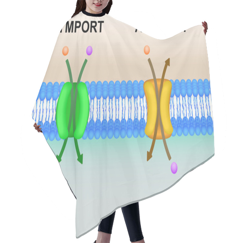 Personality  Cell Membrane Transport Systems Illustration Hair Cutting Cape