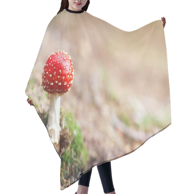 Personality  Amanita Muscaria Mushroom In Forest Hair Cutting Cape