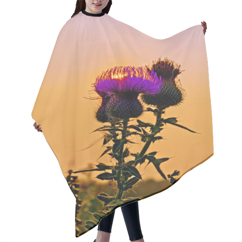 Personality  Thistles At Sunset Hair Cutting Cape