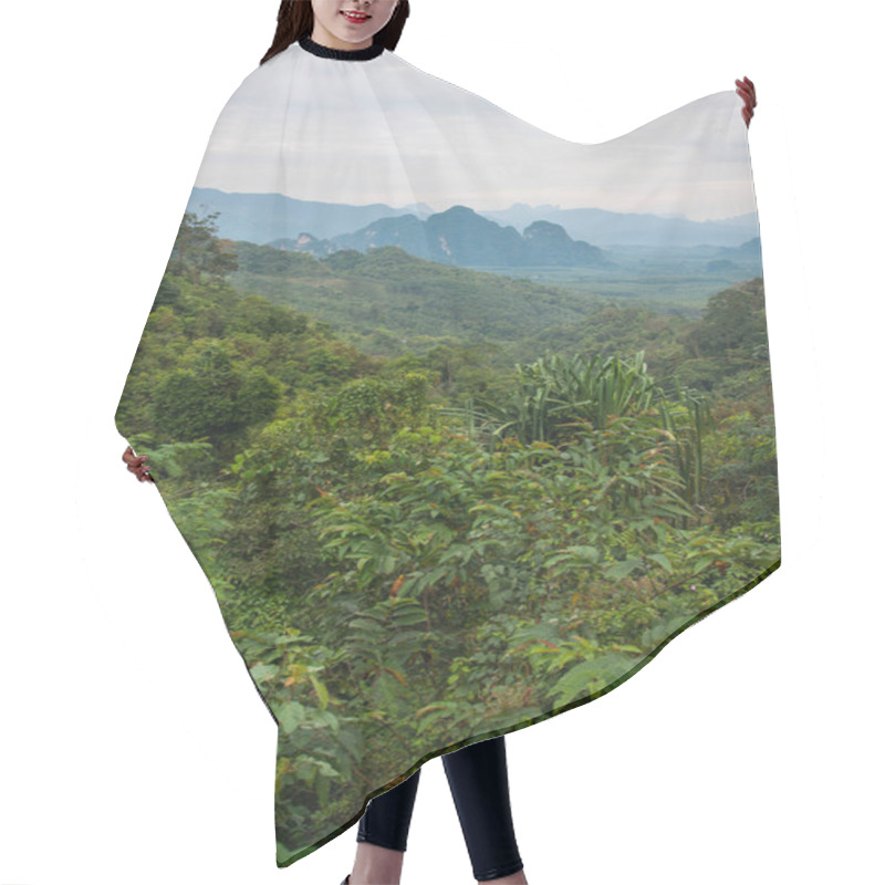 Personality  Landscape Of Tropical Rain Forest Of Khao Sok Sanctuary, Thailan Hair Cutting Cape