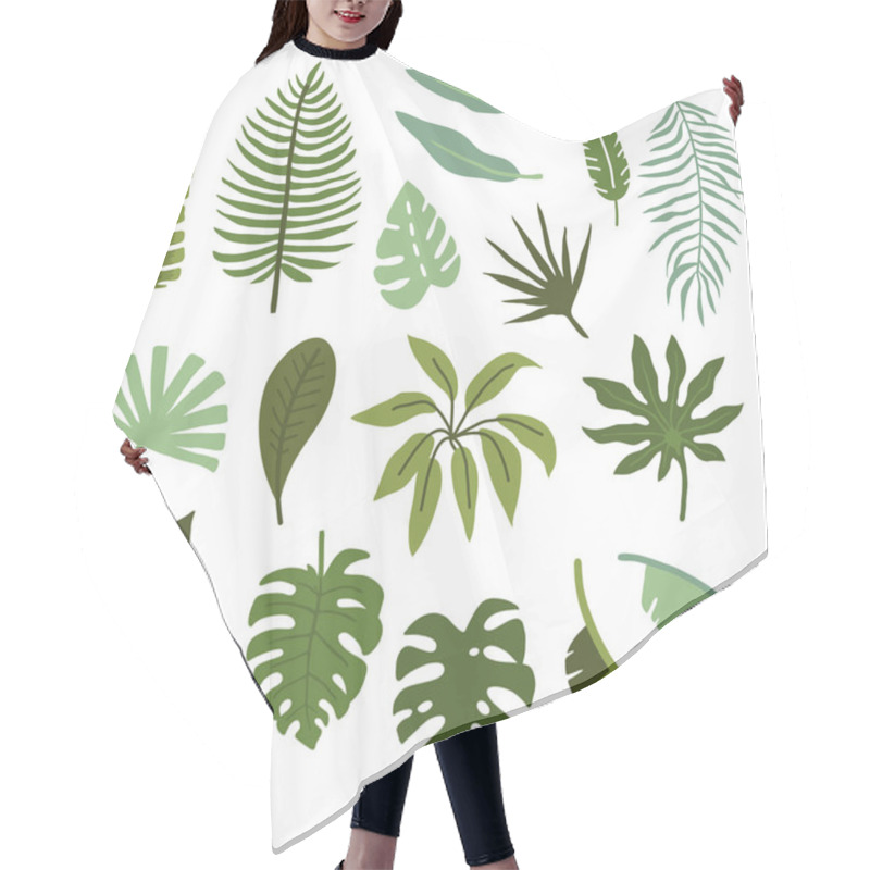 Personality  Vector Illustration Set Of Hand Drawn Plants And Palm Leaves For Design Hair Cutting Cape