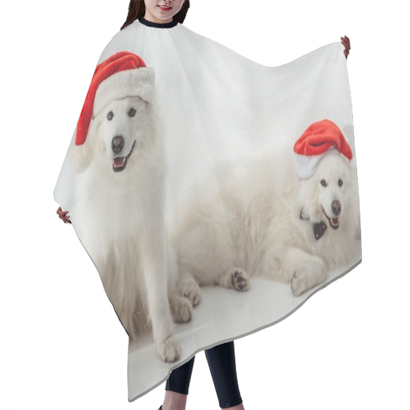 Personality  Fluffy Dogs In Santa Hats Hair Cutting Cape