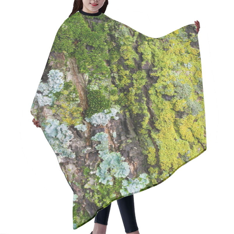 Personality  Moss And Lichens On Tree Bark Hair Cutting Cape