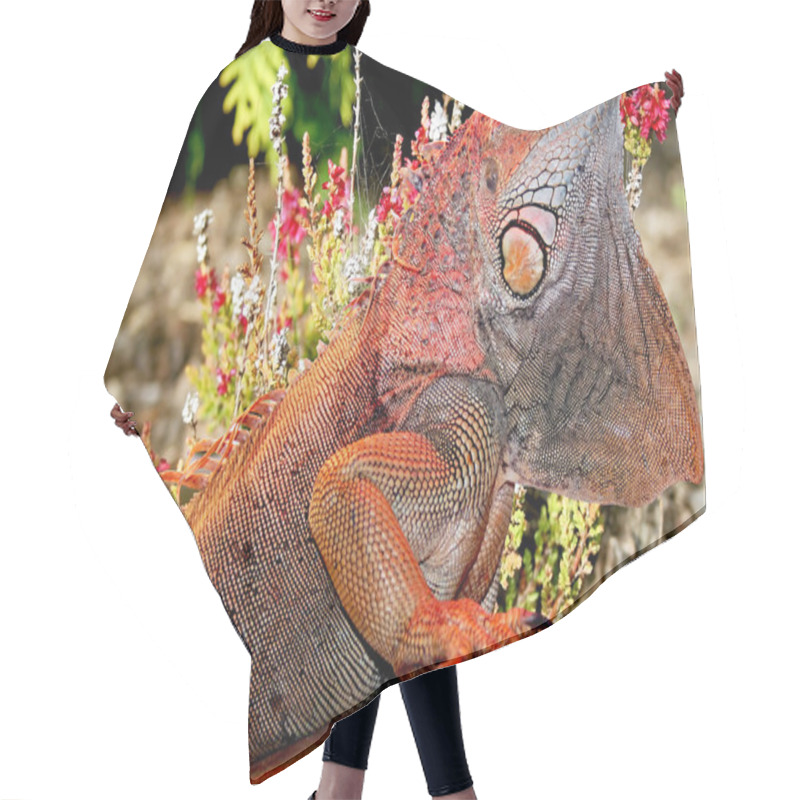 Personality  Iguana Hair Cutting Cape