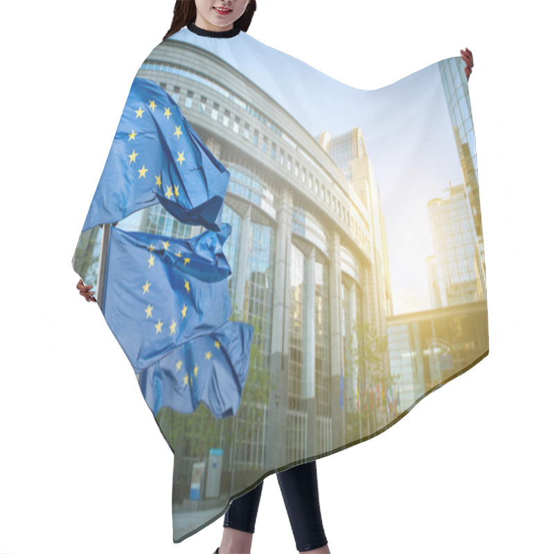 Personality  European Union Flag Against Parliament In Brussels Hair Cutting Cape