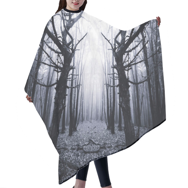 Personality  Scary Old Trees In Dark Forest Hair Cutting Cape