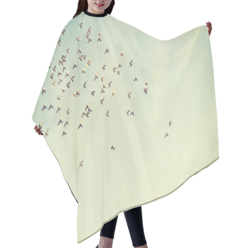 Personality  Flying Birds In Blue Sky  Hair Cutting Cape