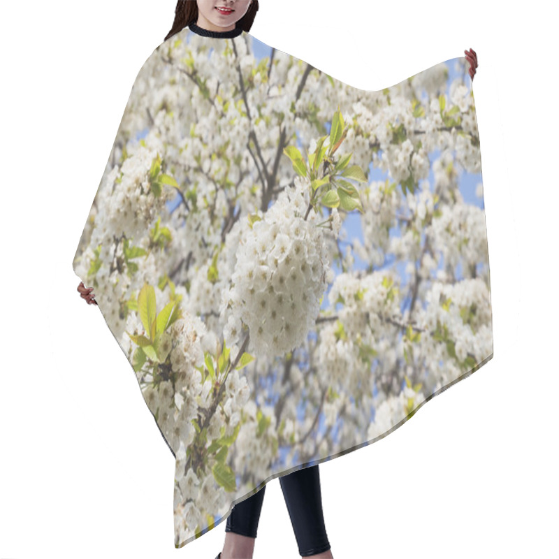 Personality  White Cherry Blossoms Hair Cutting Cape