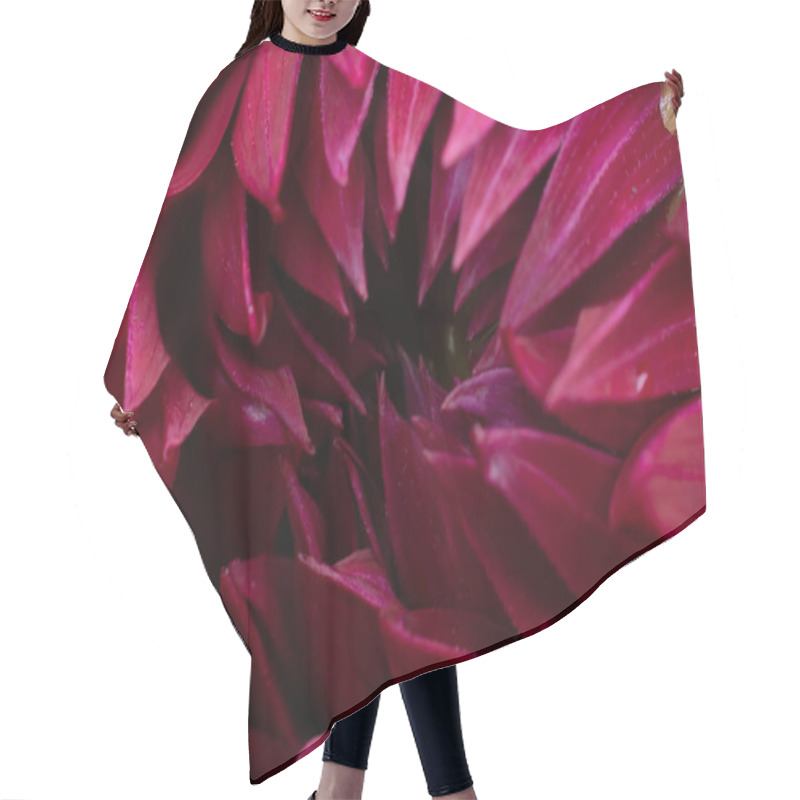 Personality  Macro Photo Of Burgundy Dahlia Flower With Many Soft Delicate Petals. Floral Backdrop Hair Cutting Cape