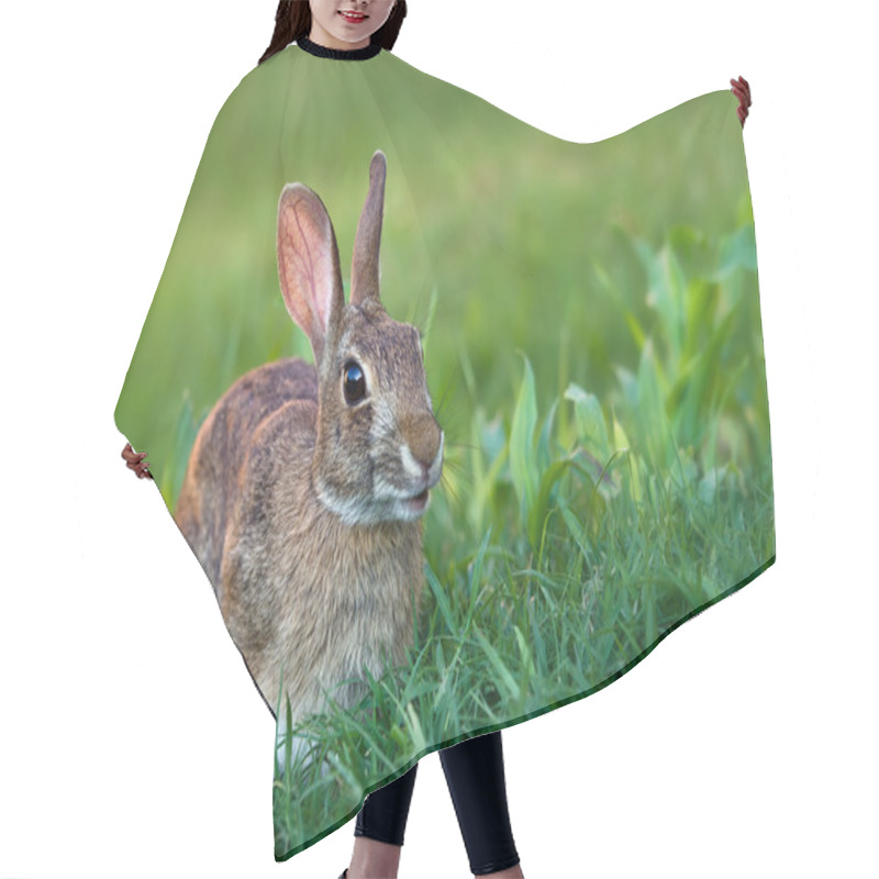 Personality  Cottontail Bunny Rabbit Hair Cutting Cape