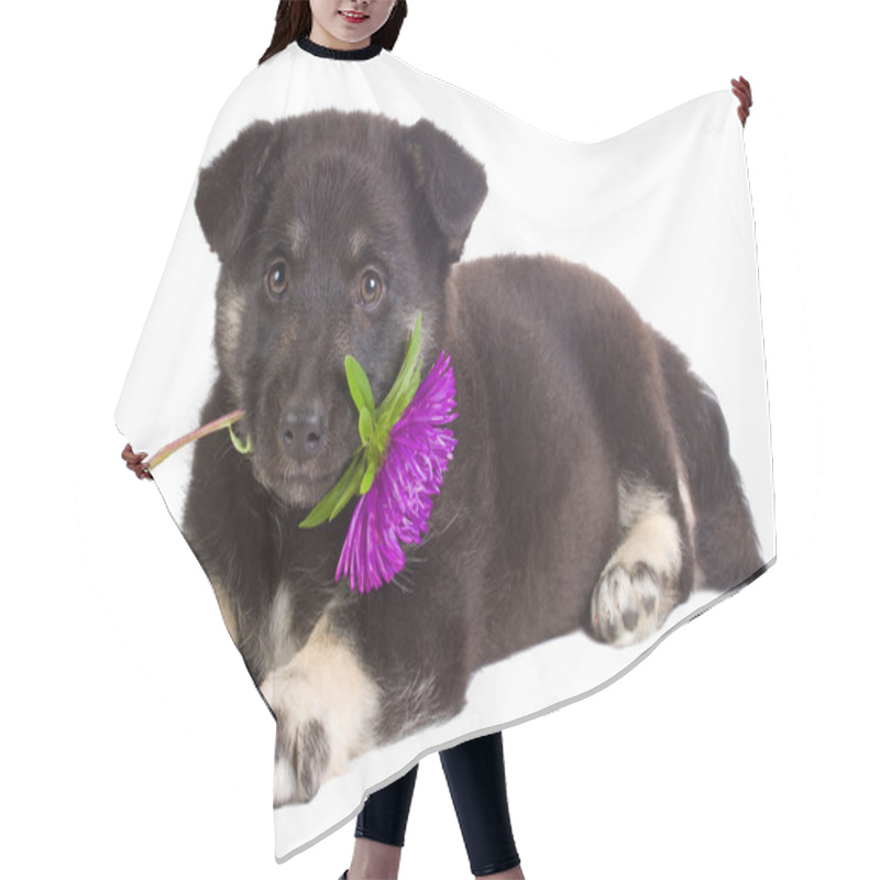 Personality  Puppy Holding Flower Hair Cutting Cape