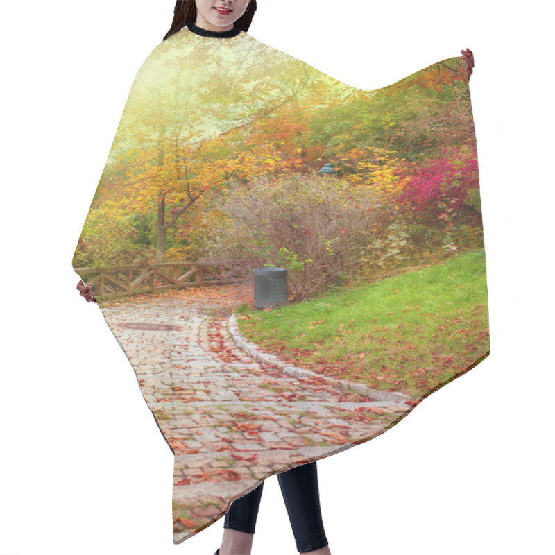 Personality  Autumnal Stone Path Hair Cutting Cape