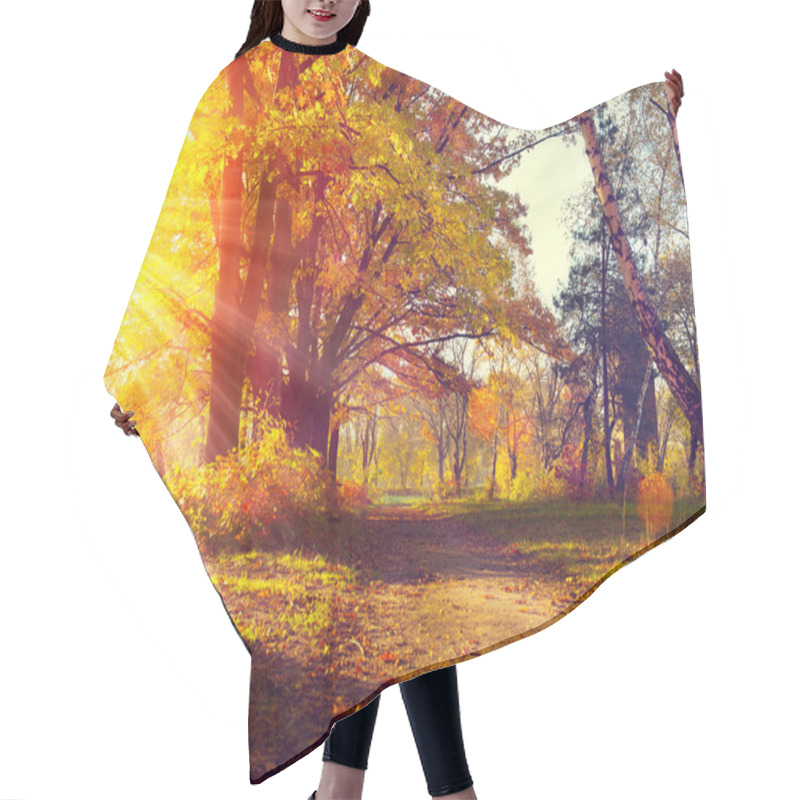 Personality  Autumn Trees  In Sun Light Hair Cutting Cape