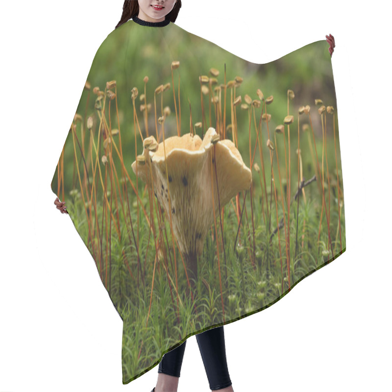 Personality  Beautiful Mushroom In The Forest Hair Cutting Cape