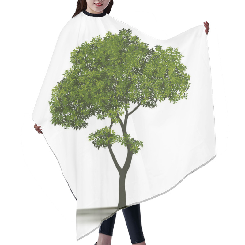 Personality  Illustration Realistic Tree Isolated On White Background - Vector. Hair Cutting Cape