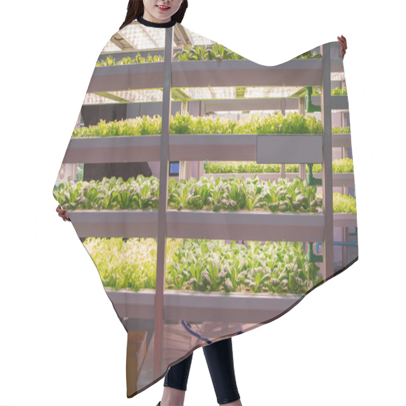 Personality  Plant Grow With Artificial LED Lighting Hair Cutting Cape