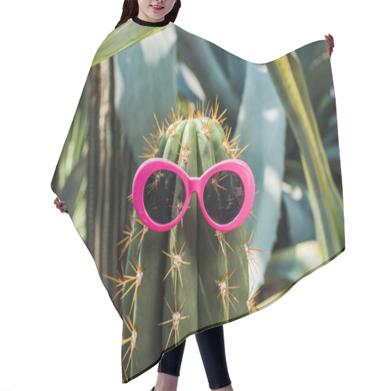 Personality  Close-up View Of Beautiful Green Cactus With Pink Sunglasses In Greenhouse    Hair Cutting Cape