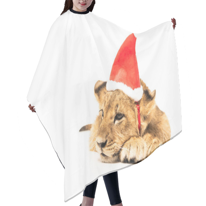 Personality  Cute Lion Cub In Santa Hat Isolated On White Hair Cutting Cape