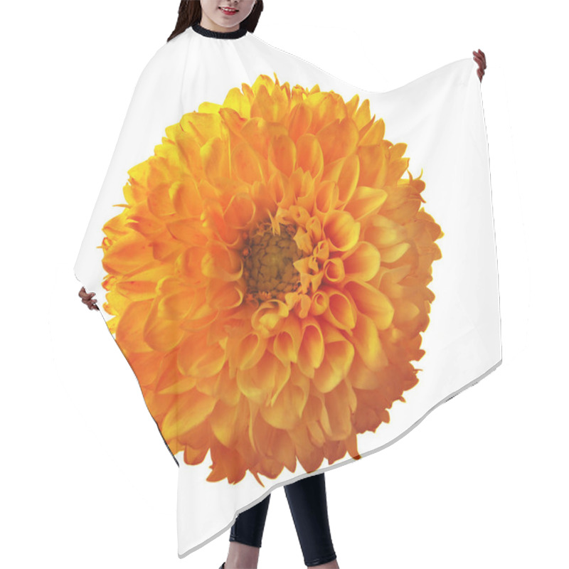 Personality  Beautiful Orange Dahlia Flower Isolated On White Hair Cutting Cape