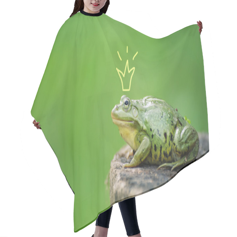 Personality  Cute Frog Princess Or Prince. Toad Painted Crown, Shooting Outdoor Hair Cutting Cape