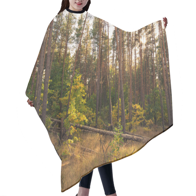 Personality  Autumn Forest Hair Cutting Cape