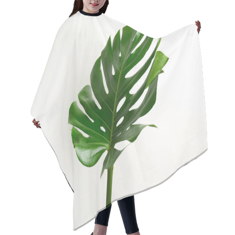 Personality  Beautiful Monstera Leaf On White Background. Tropical Plant Hair Cutting Cape