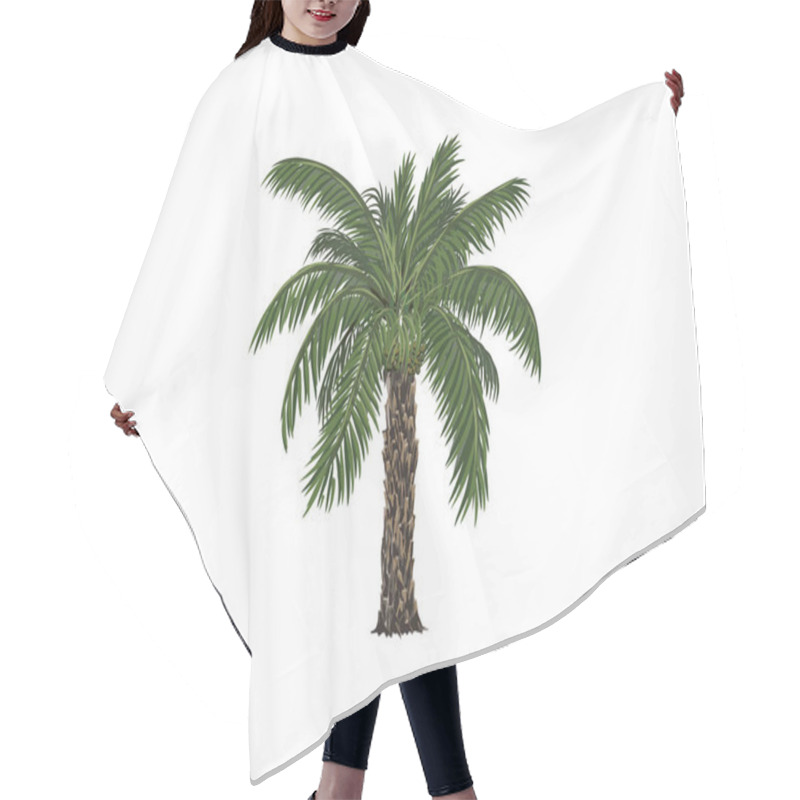 Personality  Date Palm Clipart. Date Tree Vector Illustration Isolated On White Hair Cutting Cape