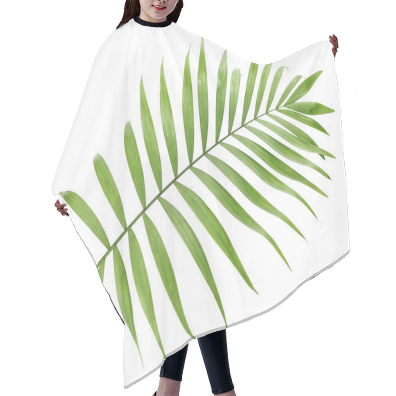 Personality  Beautiful Green Palm Leaf Isolated On White Hair Cutting Cape