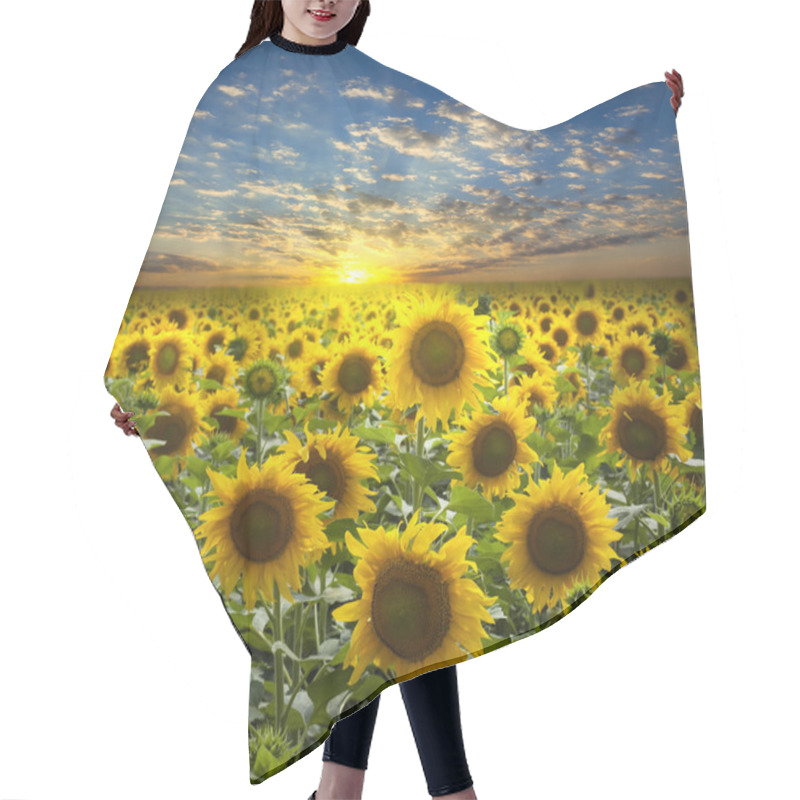 Personality  Field Of Flowerings Sunflowers On A Beautiful Sunset Background Hair Cutting Cape